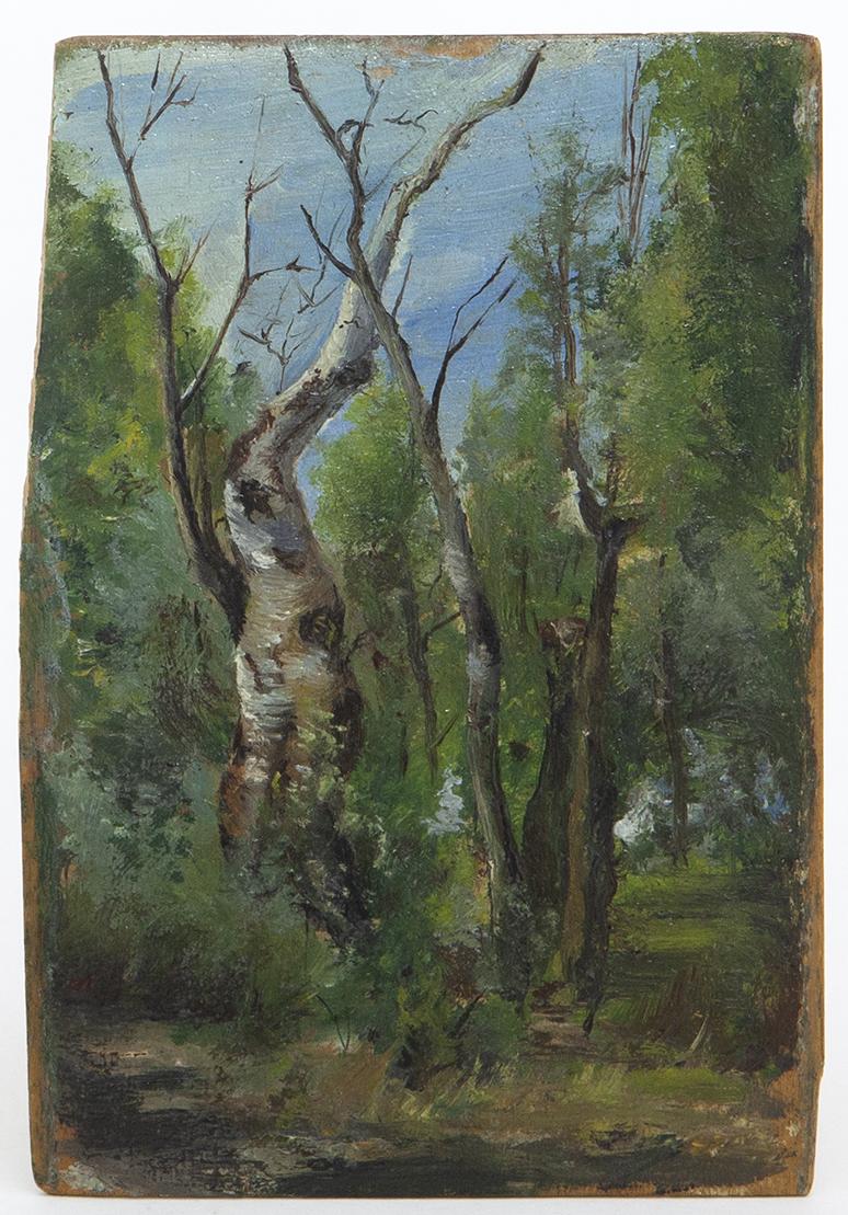 PAISAJE BOSCOSO, Ca 1890-1920. ANÓNIMO