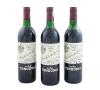 <span class='ref_item'>275 -</span> <span class="object_title">TRES BOTELLAS VIÑA TONDONIA. RIOJA, RESERVA 1989</span>   <p><span class="technical_description">Lote de 3 botellas de vino tinto R. López de Heredia Viña Tondonia, Reserva 1989, DOCa Rioja, 75cl, 12º. Haro, Rioja Alta. Nº 430643, 430648 y 430649</span><br></p>