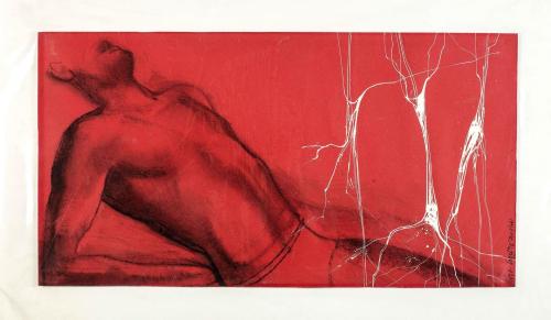 DESNUDO MASCULINO SOBRE FONDO ROJO, 1976