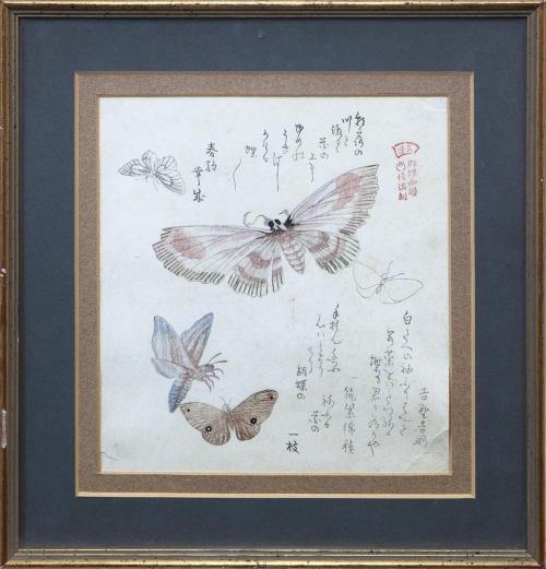 MARIPOSAS Y POLILLAS. JAPÓN, PERIODO EDO (1603-1868)